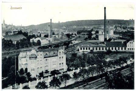 15811-Roßwein-1913-Blick auf Roßwein-Brück & Sohn Kunstverlag