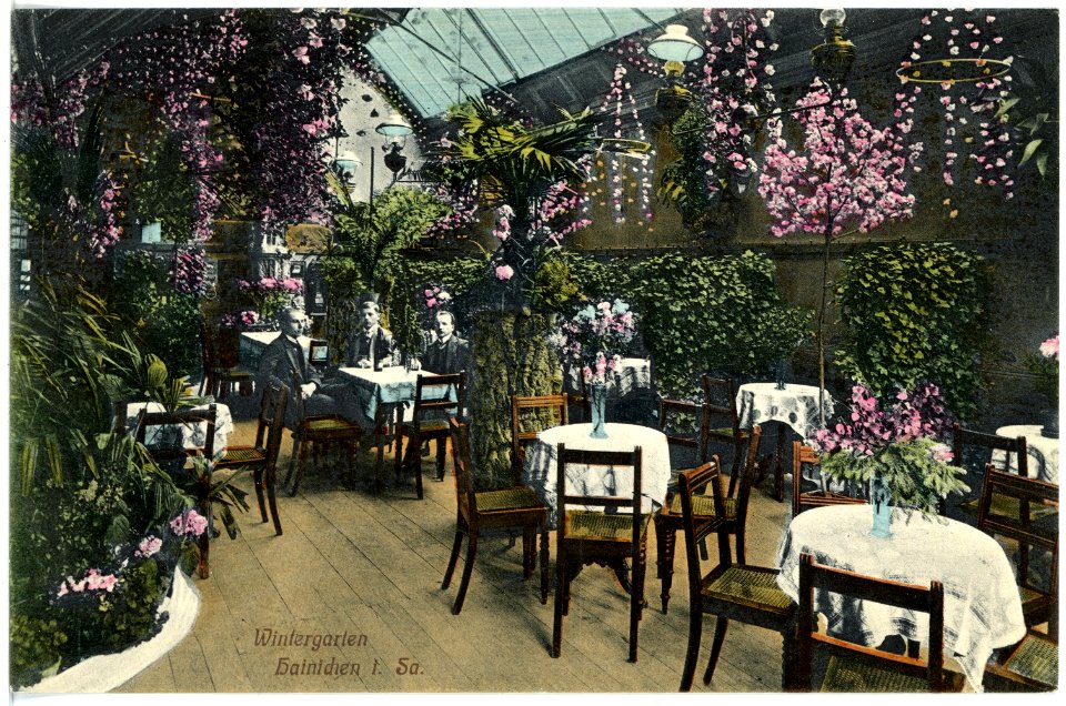 17137-Hainichen-1913-Wintergarten-Brück & Sohn Kunstverlag