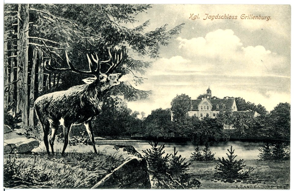 16706-Grillenburg-1913-Jagdschloß mit röhrendem Hirsch-Brück & Sohn Kunstverlag