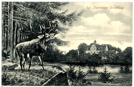 16706-Grillenburg-1913-Jagdschloß mit röhrendem Hirsch-Brück & Sohn Kunstverlag