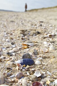 Dune nature reserve northern germany photo