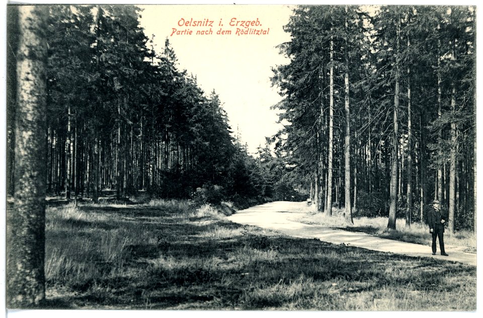 17047-Oelsnitz-1913-Rödlitztal-Brück & Sohn Kunstverlag