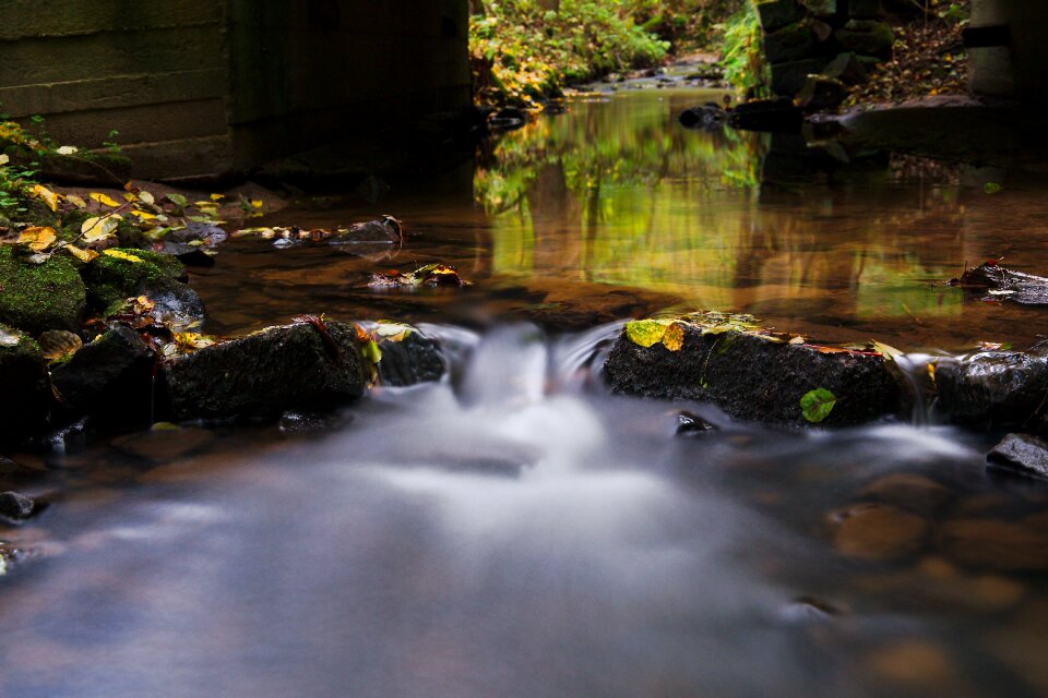 Movement rock nature