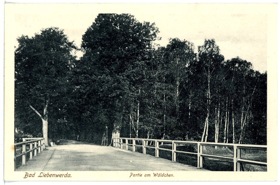 15956-Liebenwerda-1913-Partie am Wäldchen-Brück & Sohn Kunstverlag