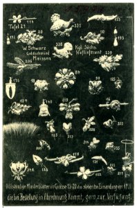 15972-Meißen-1913-Goldschmied Schwarz - Schmucksachen-Brück & Sohn Kunstverlag