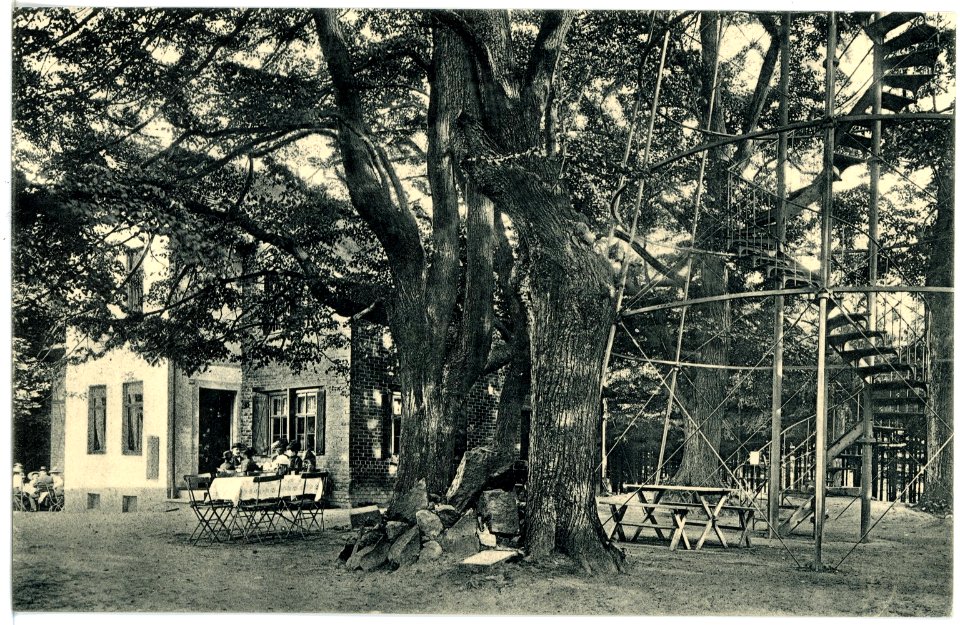 16733-Neustadt-1913-Götzingerhöhe-Brück & Sohn Kunstverlag