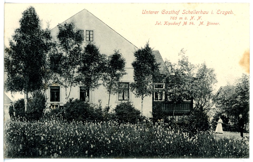 15973-Schellerhau-1913-Unterer Gasthof-Brück & Sohn Kunstverlag