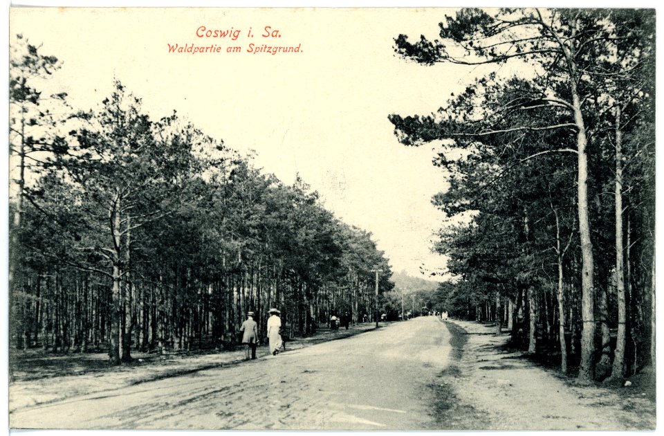 15785-Coswig-1913-Spitzgrund-Brück & Sohn Kunstverlag