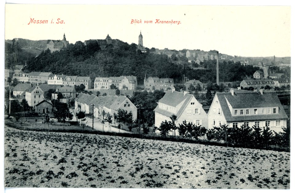 15893-Nossen-1913-Blick vom Kronenberg-Brück & Sohn Kunstverlag
