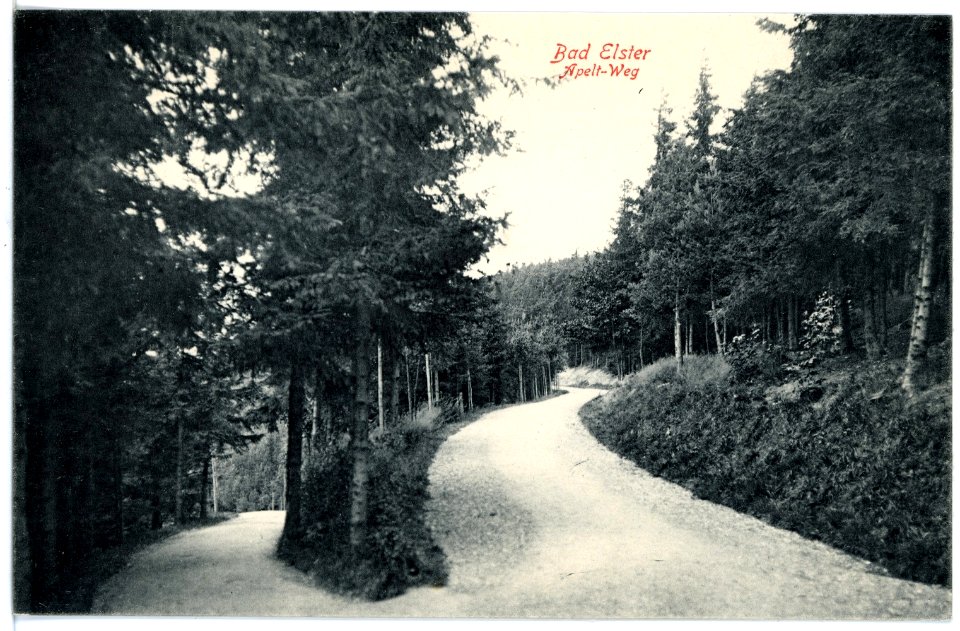 17090-Bad Elster-1913-Apeltweg-Brück & Sohn Kunstverlag