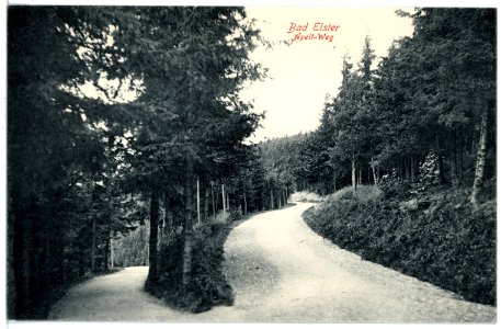 17090-Bad Elster-1913-Apeltweg-Brück & Sohn Kunstverlag