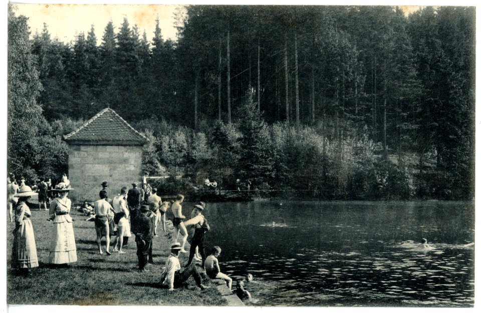 15989-Grillenburg-1913-Seerenteich-Brück & Sohn Kunstverlag