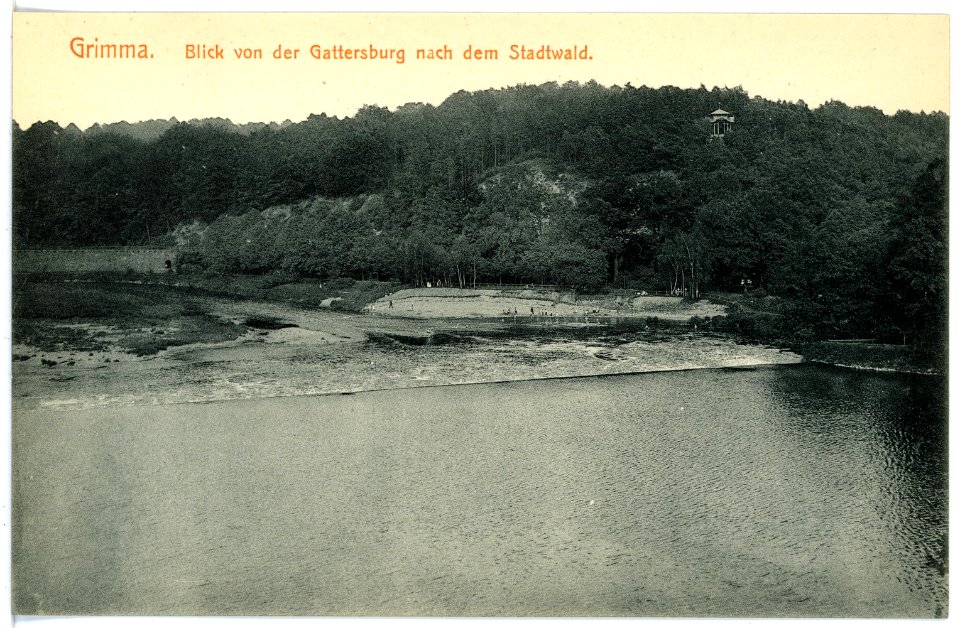 16305-Grimma-1913-Blick von der Gattersburg nach Stadtwald-Brück & Sohn Kunstverlag