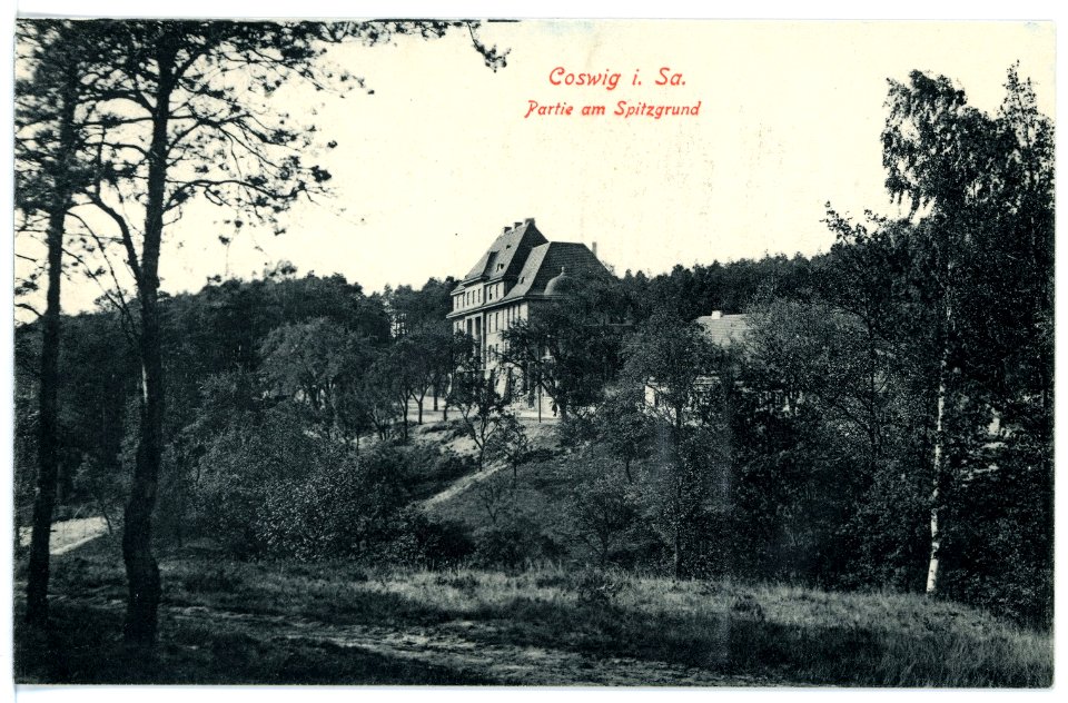 15783-Coswig-1913-Spitzgrund-Brück & Sohn Kunstverlag