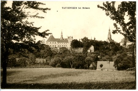 16709-Taubenheim (Klipphausen)-1913-Schloß und Kirche-Brück & Sohn Kunstverlag