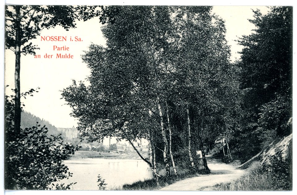 15967-Nossen-1913-An der Mulde-Brück & Sohn Kunstverlag