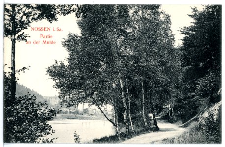 15967-Nossen-1913-An der Mulde-Brück & Sohn Kunstverlag