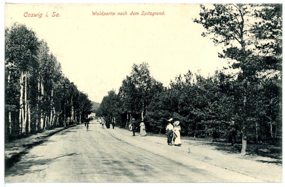 15784-Coswig-1913-Spitzgrund-Brück & Sohn Kunstverlag