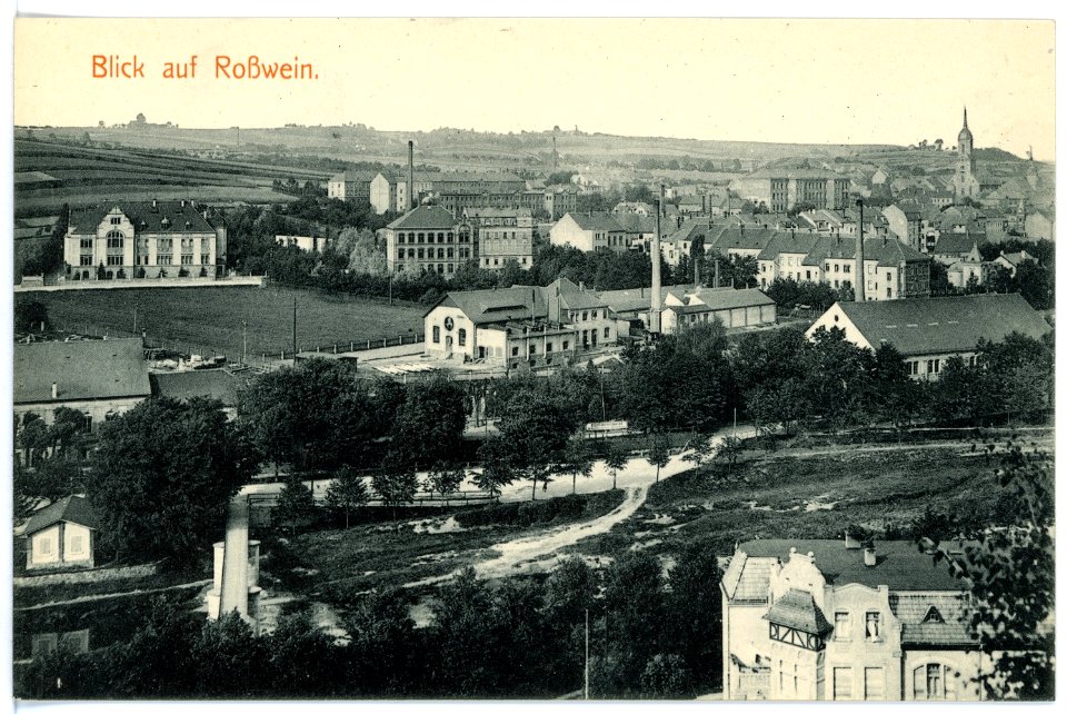 15813-Roßwein-1913-Blick auf Roßwein-Brück & Sohn Kunstverlag