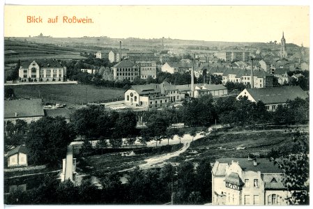 15813-Roßwein-1913-Blick auf Roßwein-Brück & Sohn Kunstverlag