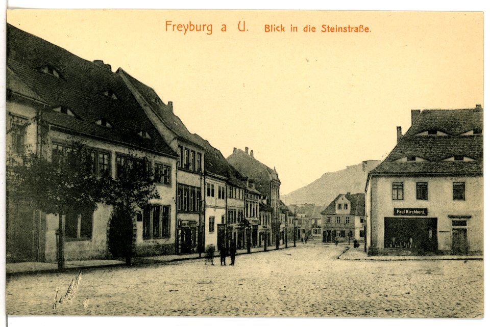 16460-Freyburg-1913-Blick in die Steinstraße-Brück & Sohn Kunstverlag