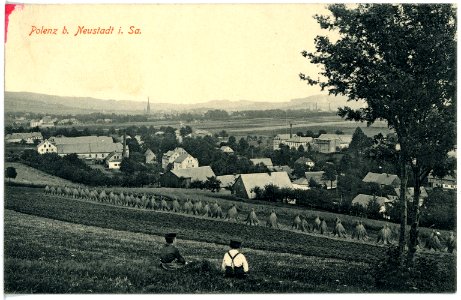 16731-Polenz (Neustadt in Sachsen)-1913-Blick auf Polenz-Brück & Sohn Kunstverlag