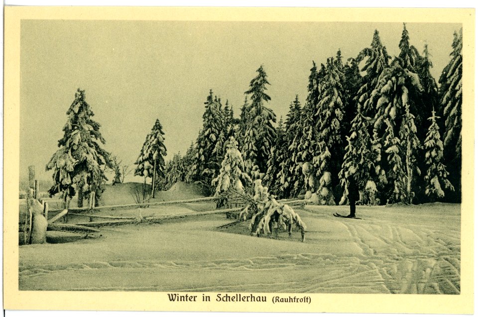 18378-Schellerhau-1914-Blick auf Schellerhau im Winter-Brück & Sohn Kunstverlag