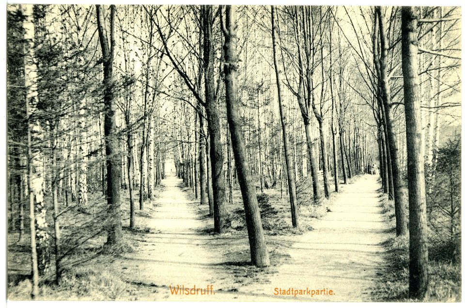 16761-Wilsdruff-1913-Stadtparkpartie-Brück & Sohn Kunstverlag
