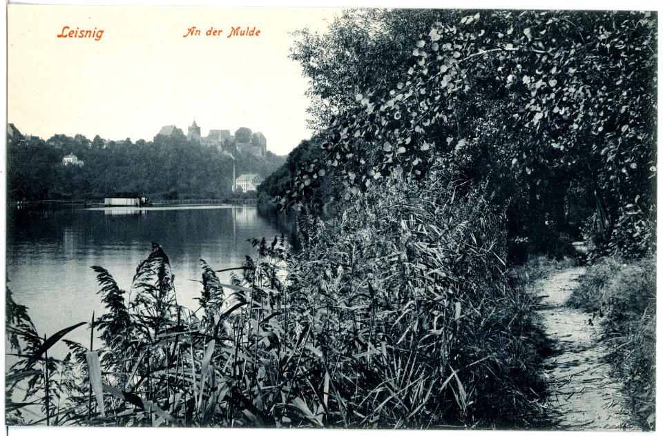18344-Leisnig-1914-An der Mulde-Brück & Sohn Kunstverlag