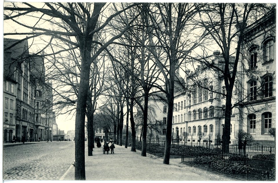18754-Bautzen-1915-Lauengraben-Brück & Sohn Kunstverlag