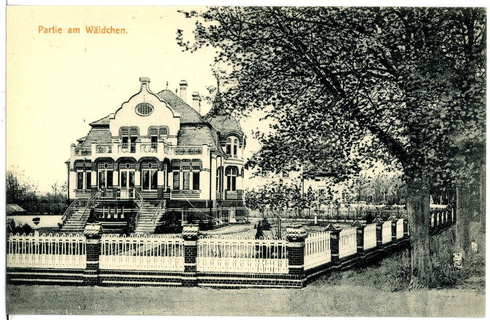 16759-Liebenwerda-1913-Partie am Wäldchen-Brück & Sohn Kunstverlag