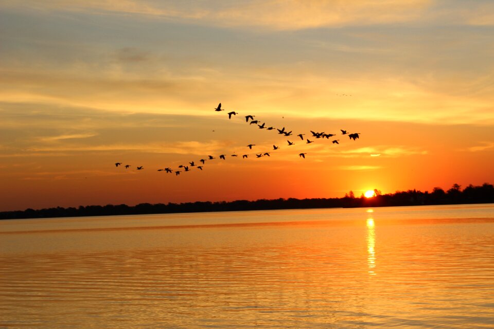 Dusk sun sky