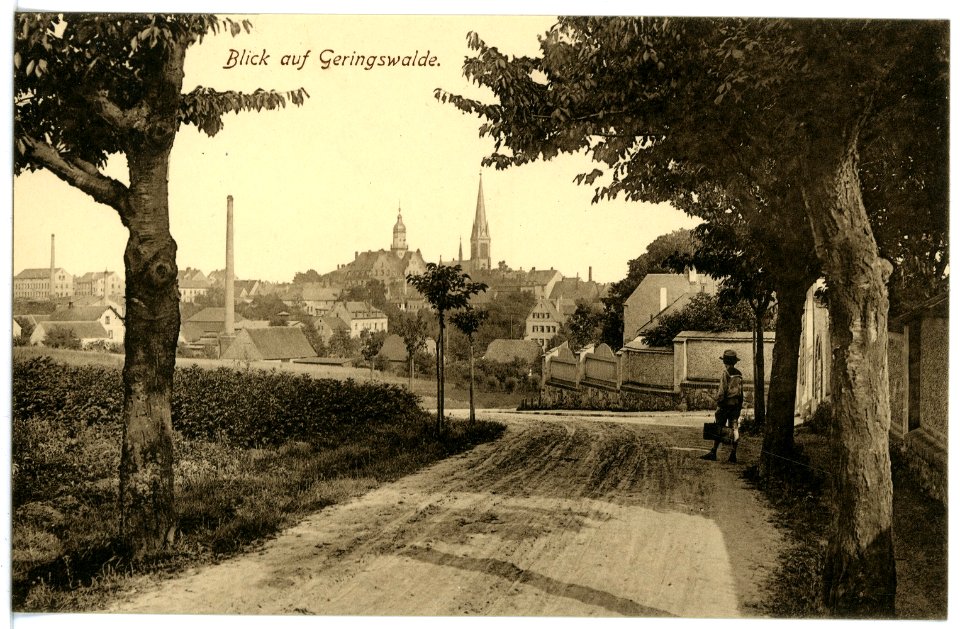 16649-Geringswalde-1913-Blick auf Geringswalde aus Waldstraße-Brück & Sohn Kunstverlag