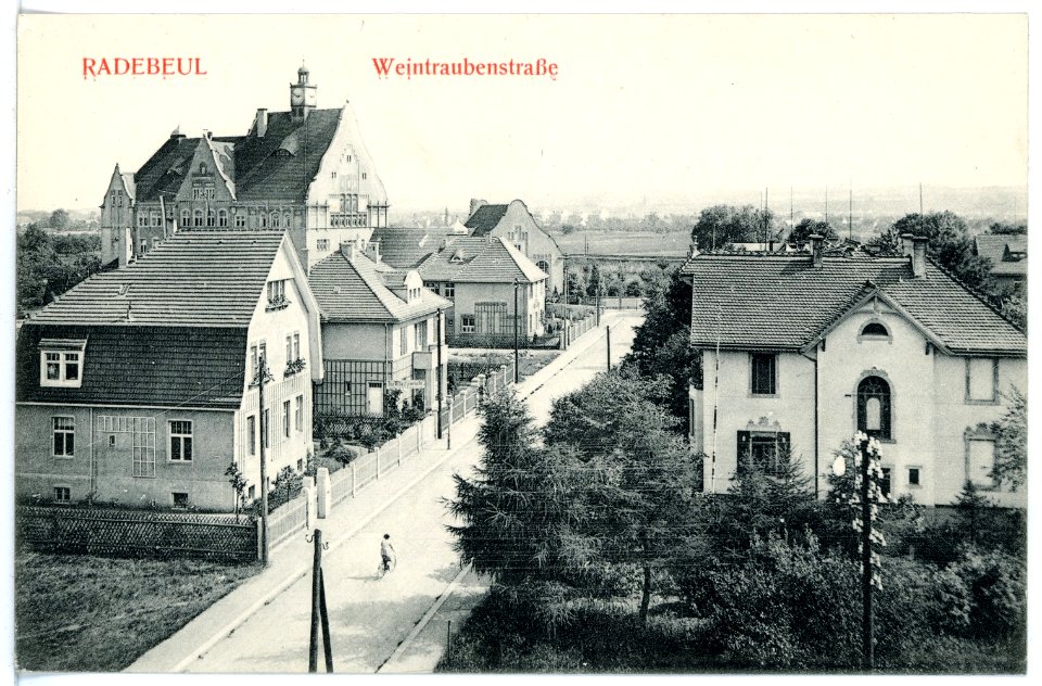 15971-Radebeul-1913-Weintraubenstraße-Brück & Sohn Kunstverlag