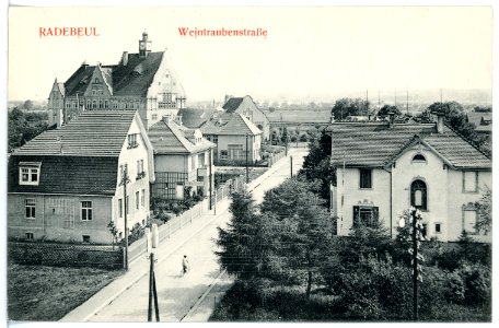 15971-Radebeul-1913-Weintraubenstraße-Brück & Sohn Kunstverlag