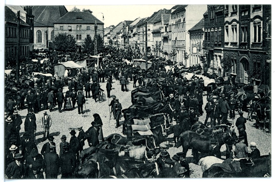 15848-Liebenwerda-1913-Pferdemarkt-Brück & Sohn Kunstverlag