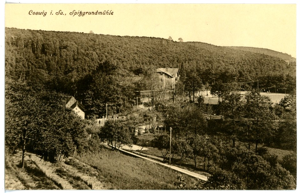 15782-Coswig-1913-Spitzgrundmühle-Brück & Sohn Kunstverlag