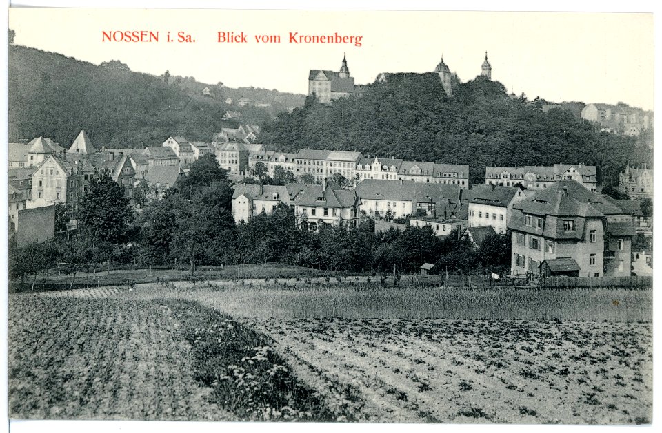 15892-Nossen-1913-Blick vom Kronenberg-Brück & Sohn Kunstverlag