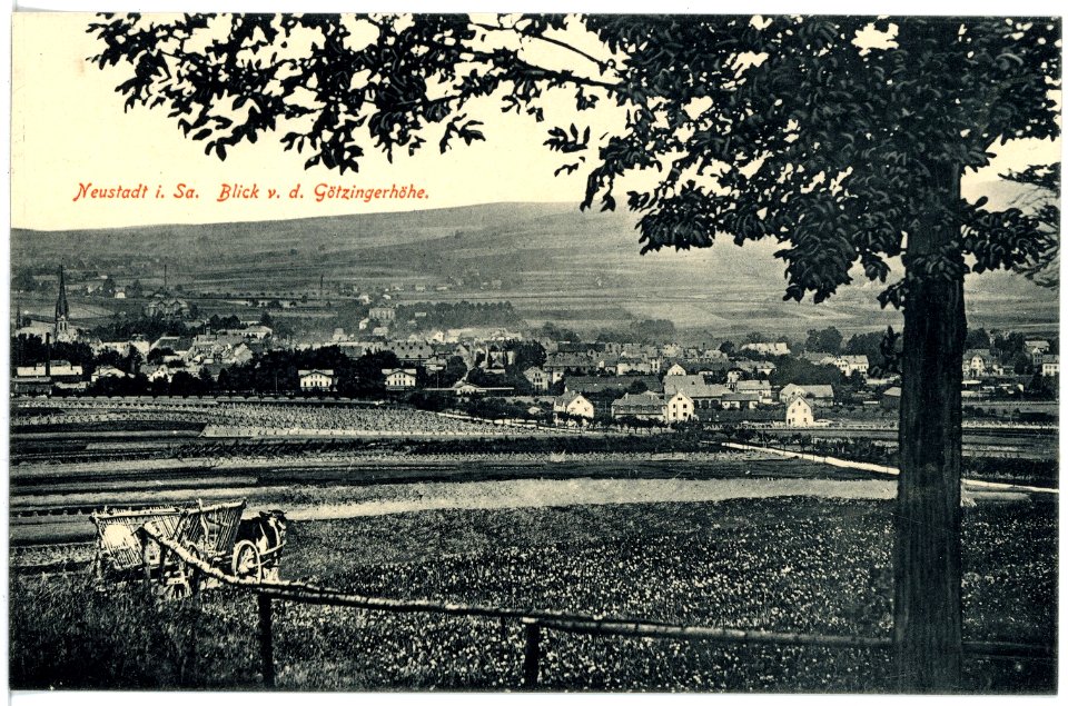 16725-Neustadt-1913-Blick von der Götzingerhöhe-Brück & Sohn Kunstverlag
