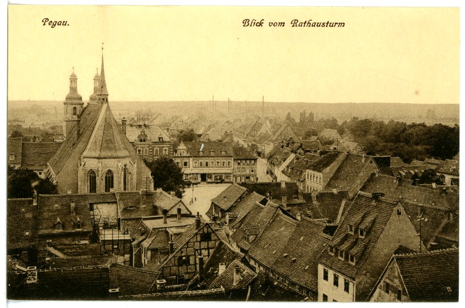 16358-Pegau-1913-Blick auf Pegau vom Rathausturm-Brück & Sohn Kunstverlag