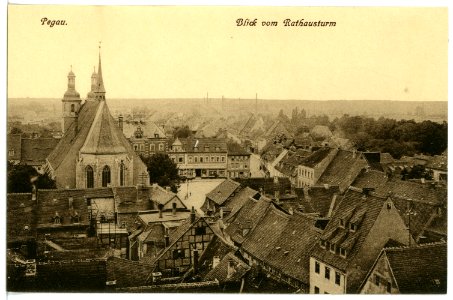 16358-Pegau-1913-Blick auf Pegau vom Rathausturm-Brück & Sohn Kunstverlag