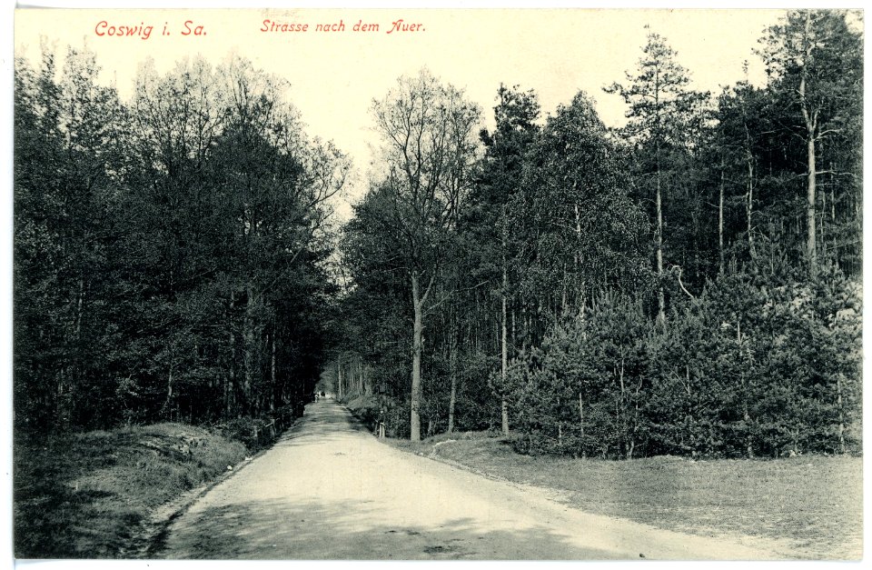 15786-Coswig-1913-Auerstraße-Brück & Sohn Kunstverlag