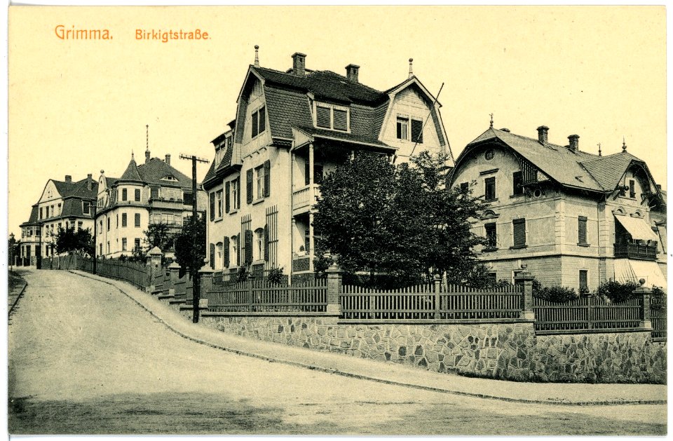 16301-Grimma-1913-Birkigtstraße-Brück & Sohn Kunstverlag