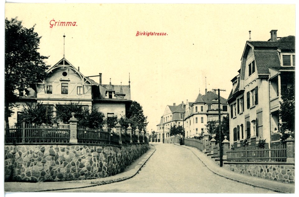 16302-Grimma-1913-Birkigtstraße-Brück & Sohn Kunstverlag