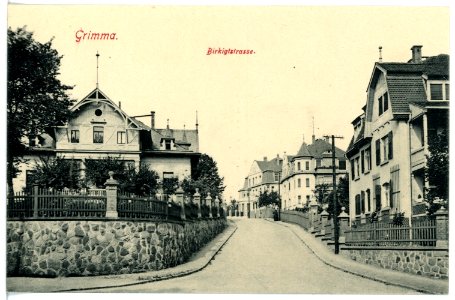 16302-Grimma-1913-Birkigtstraße-Brück & Sohn Kunstverlag