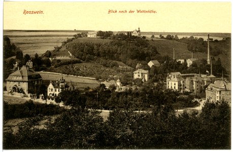 16673-Roßwein-1913-Blick nach der Wettinhöhe-Brück & Sohn Kunstverlag