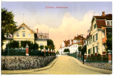 16451-Grimma-1913-Birkigtstraße-Brück & Sohn Kunstverlag
