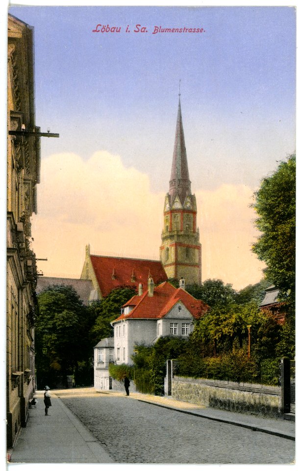 16328-Löbau-1913-Blumenstraße-Brück & Sohn Kunstverlag