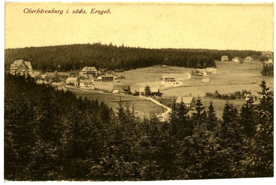 16266-Oberbärenburg-1913-Blick auf Oberbärenburg-Brück & Sohn Kunstverlag