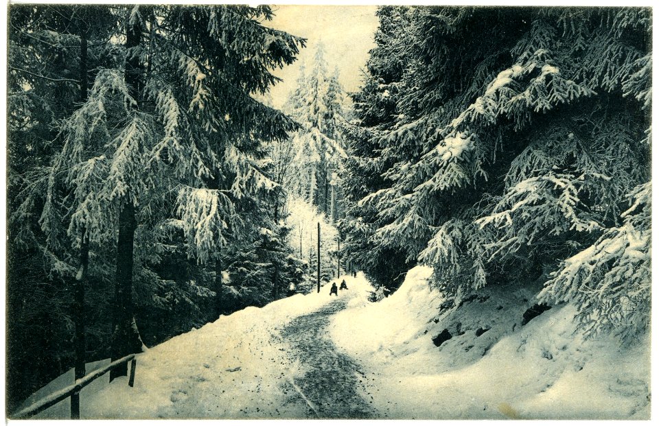 18379-Bärenfels-1914-Winterwald-Brück & Sohn Kunstverlag